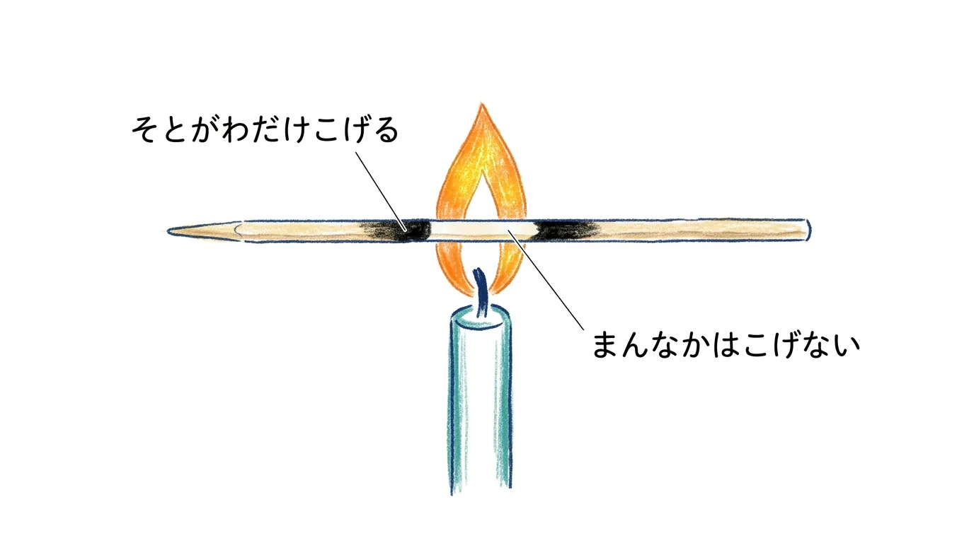 竹串の外炎に当たった部分だけが黒くこげた実験の図