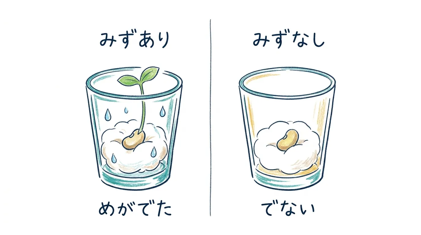 水ありは芽が出て、水なしは出ない対照実験の図