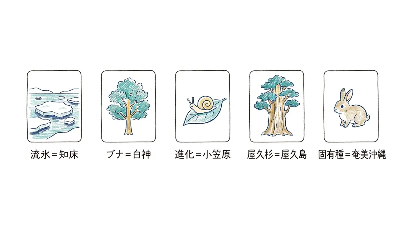 流氷・ブナ・進化・屋久杉・固有種を各遺産に対応させたアイコン一覧