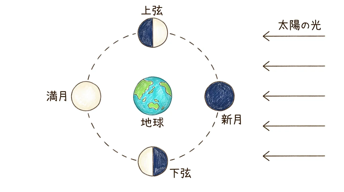 地球のまわりの月の位置と満ち欠けの対応図
