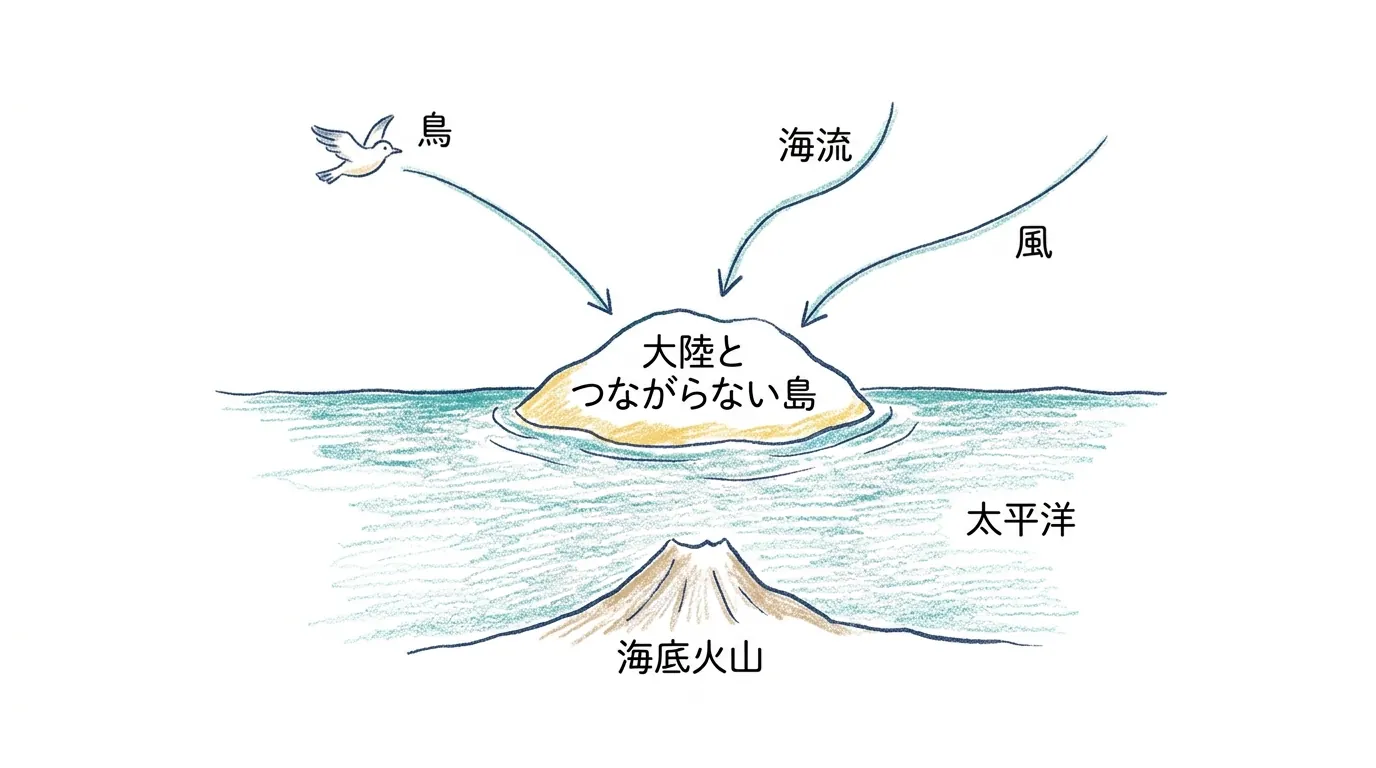 海底火山で生まれた島に風・海流・鳥で生き物が偶然たどり着く図