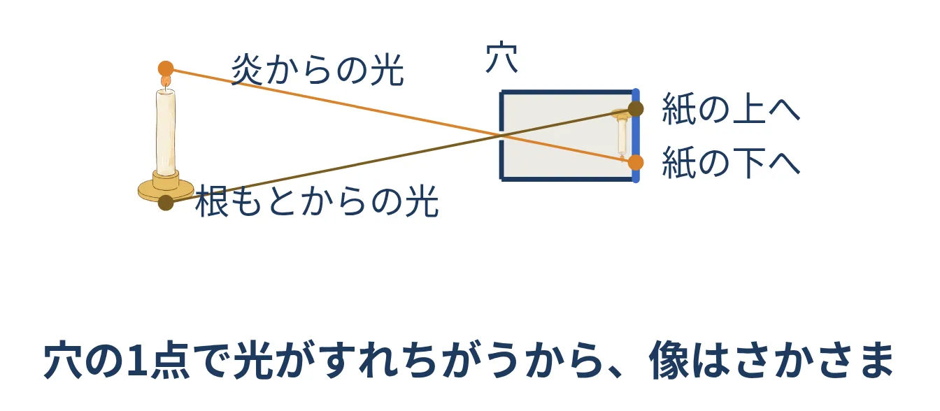 炎からの光が穴を通って紙の下に、根もとからの光が紙の上に届くことを示した図