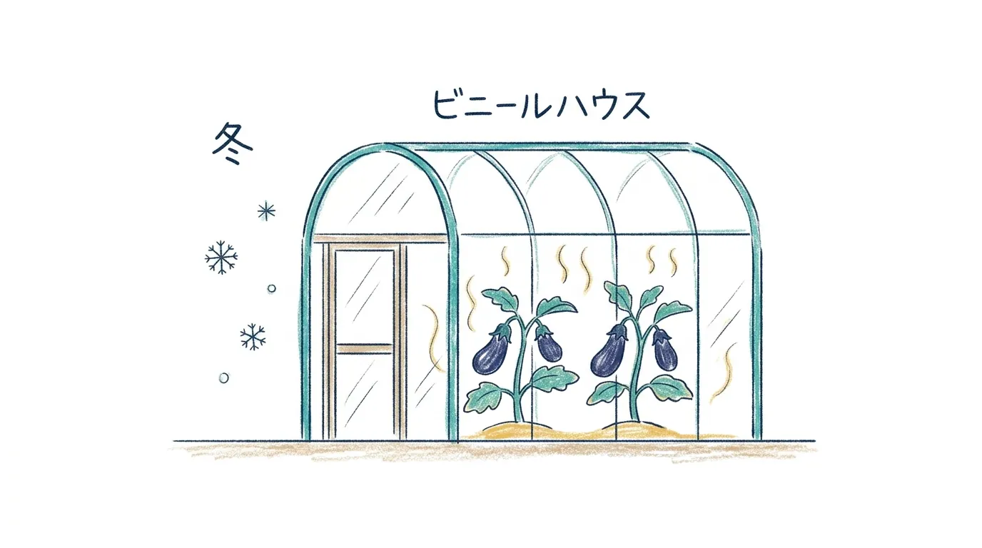 冬でもビニールハウスの中であたたかく夏野菜を育てる図