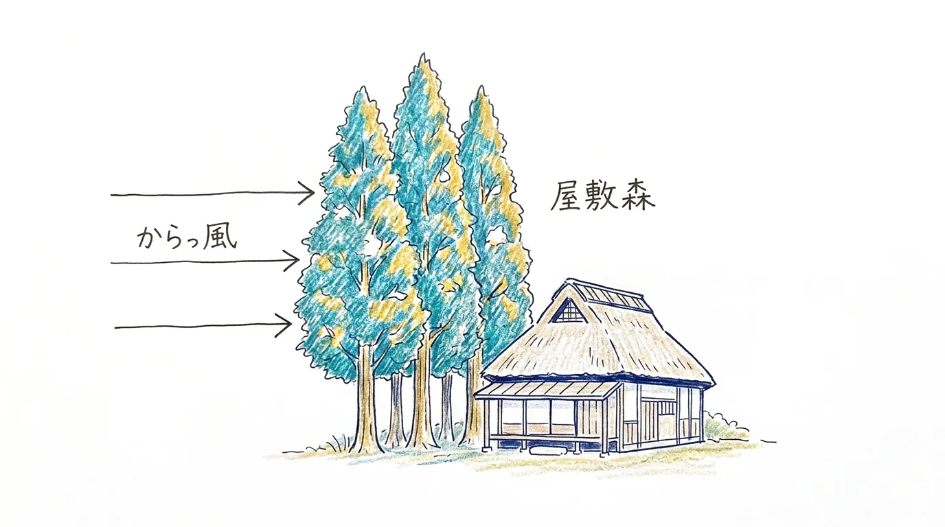 からっ風を屋敷森がふせぐようす
