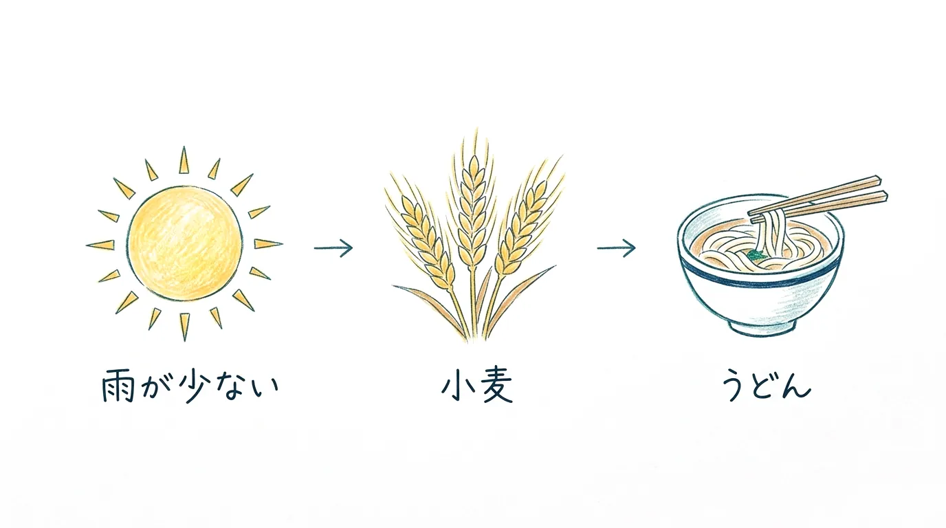 雨が少ない→小麦→うどん、というつながりの図